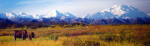 Het was een mistige dag: de Mt McKinley zien we vandaag alleen op dit schilderij in de souvenirwinkel